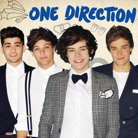 Everything about 1D !!! Lyrics, stories, facts everything