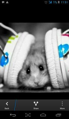 HSmifh's profile picture. 