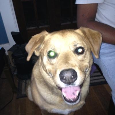 not_a_follower's profile picture. 