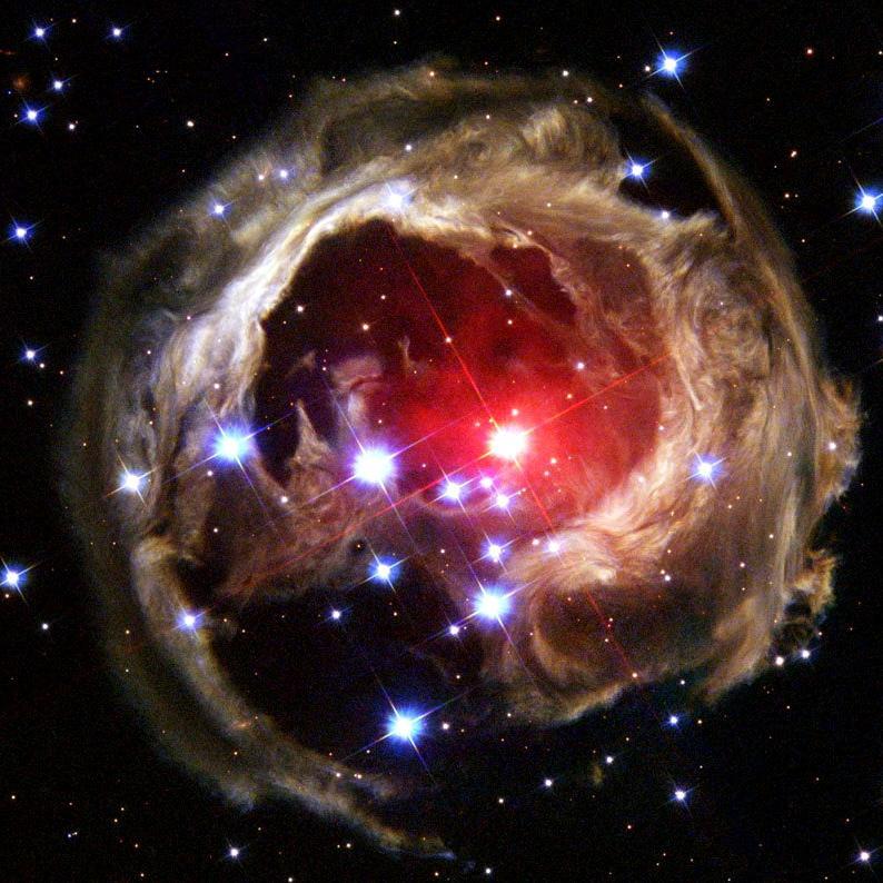 microcerotis's profile picture. 