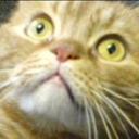 Sally Maynard - @hsm_sally - Twitter