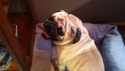 JohnButcher6278's profile picture. 