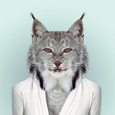 visirovski's profile picture. 