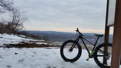 wildcatmtb's profile picture. 