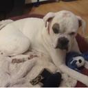 bev wyatt - @bev_good - Twitter