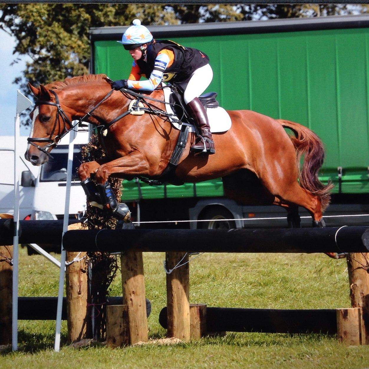 Under 18 eventer aiming for 1* on my team mates Dino V and Bacon Butty this season
