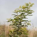 David Flad - @WaiterD - Twitter