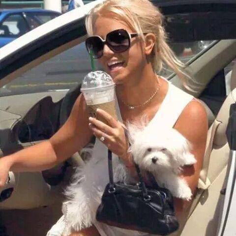 Engaged to sushi ♥ Britney I deserve your follow back
 |RT my last tweet if you want Justin Bieber solo dm