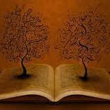 edebiyatyasasin's profile picture. @AbDusunce
 @aylaturksoy