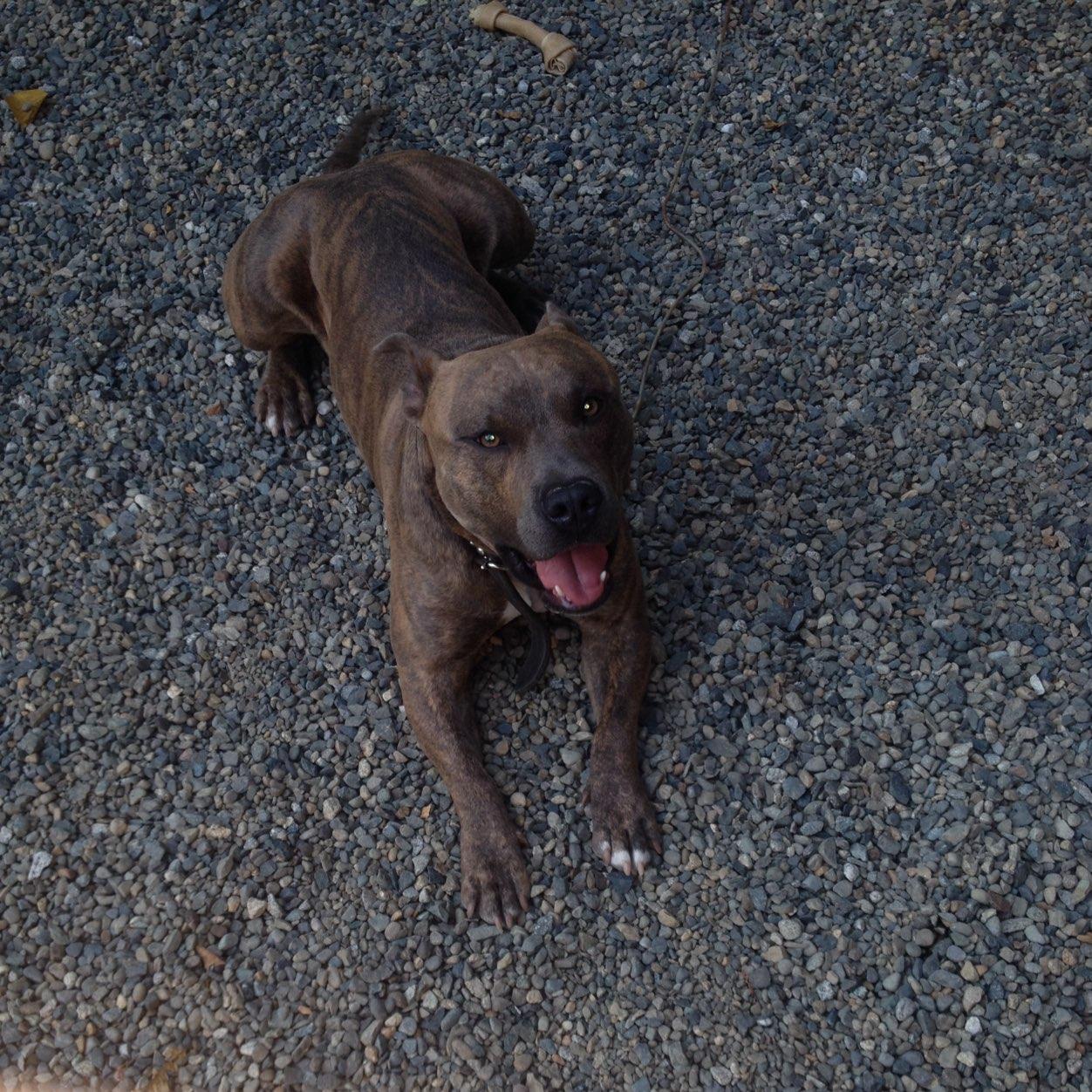 lil_heata's profile picture. #MostWxntedGxng