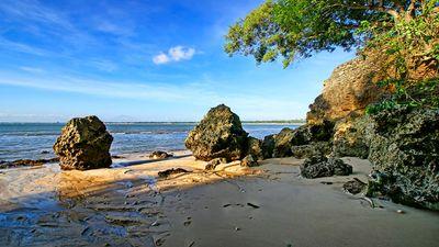 jorge_fracchia's profile picture. 