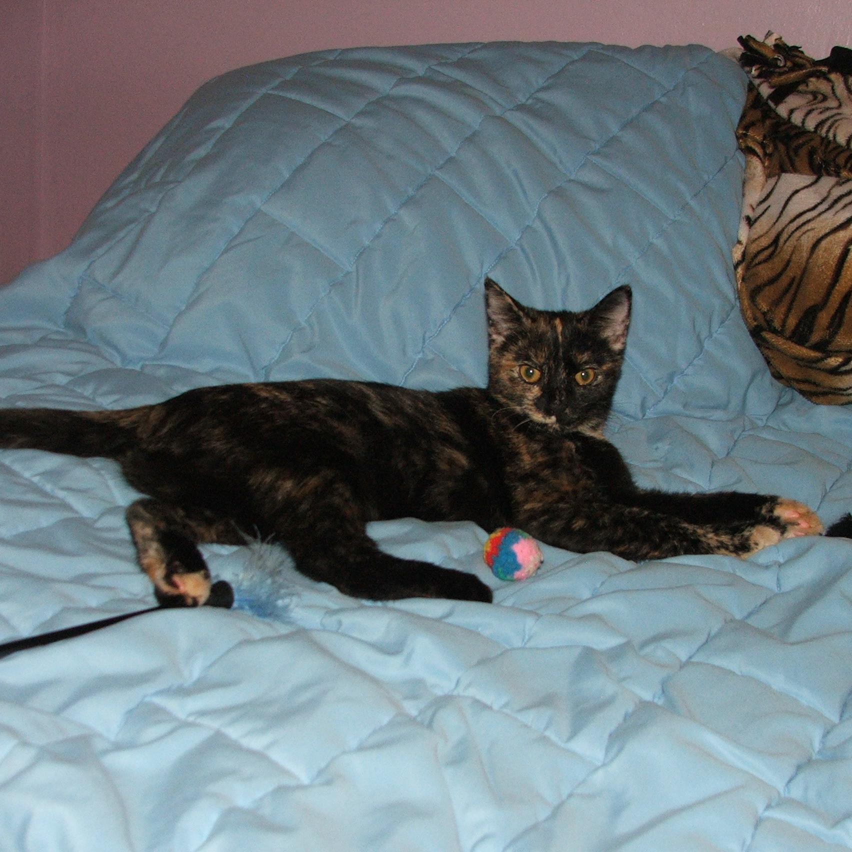 Saya676's profile picture. 