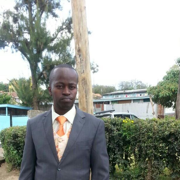 Social and Political Analyst.