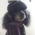 David Tate (@paolopoodle) Twitter profile photo David Tate (@paolopoodle) Twitter profile photo