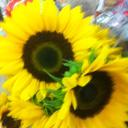 Kim Blalock - @BlalockKim - Twitter