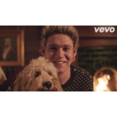 Niall Horan|22|single|bisex|benvenutatemi forza.