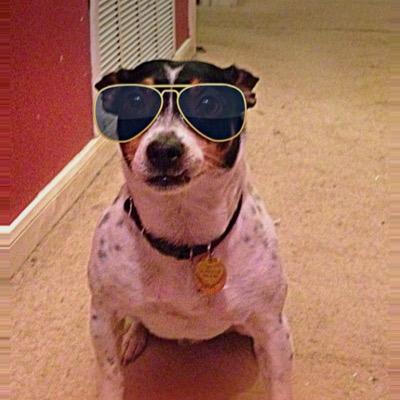I love animals and sports