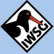 Wader Study(@WaderStudy) 's Twitter Profile Photo