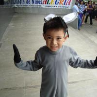 Filiberto Ortiz Chi (@fortizchi) 's Twitter Profile