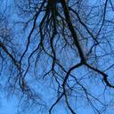 Susannah Shaw - @SusannahShaw - Twitter