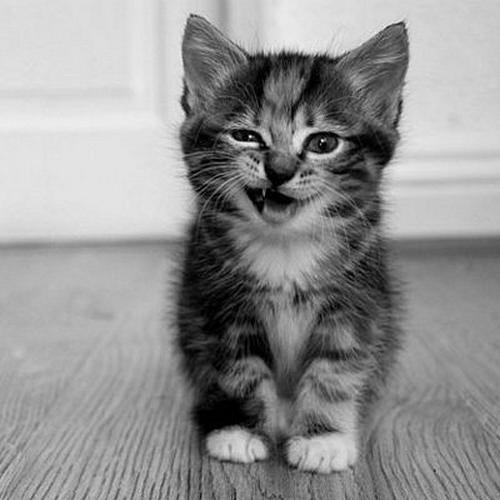SWEET^^