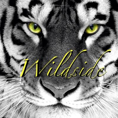 SydneyWildjackx Profile Picture