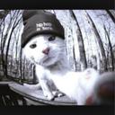 Daniel - @Daniel_Lee_503 - Twitter