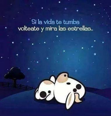 cuernavaqueando's profile picture. Intentando ver los colores de la vida,con tanta neblina alrededor..