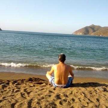 IngMauroLemus's profile picture. 