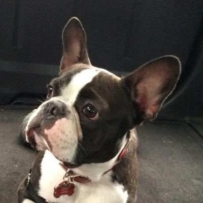 Butters7HB's profile picture. 