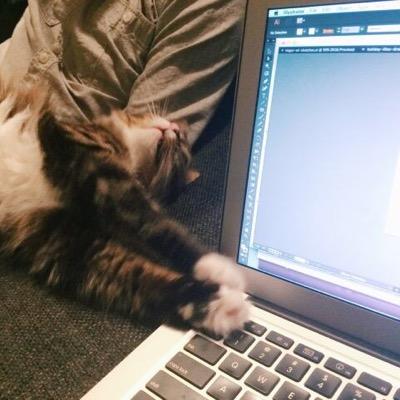 jesszzzzzzz's profile picture. 