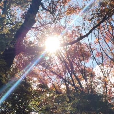 carlaooさんのプロフィール画像