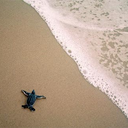 Tasha Bryant - @tabrylive - Twitter