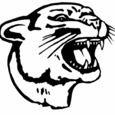 peppy_panther Profile Picture