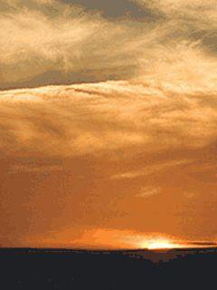 caromlamas's profile picture. 