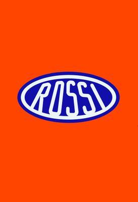 Venta, instalación y mantenimiento de motores Rossi para su portón.
