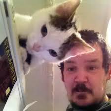 mi gato es mi mejor amigo y es como el hijo que no tuve