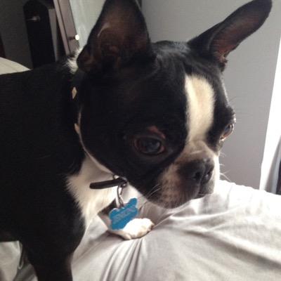 testify30's profile picture. 