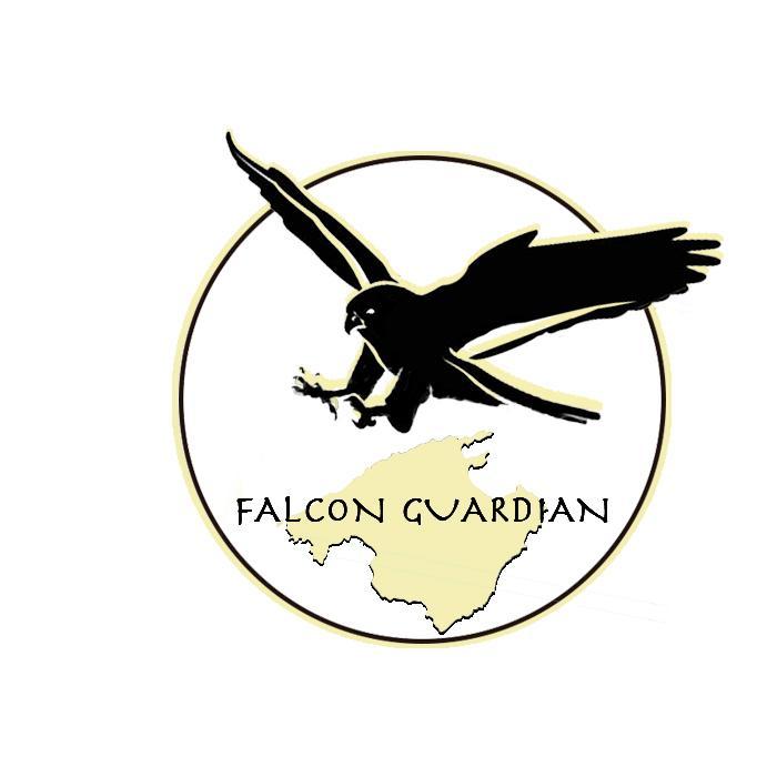 Somos la empresa líder en Mallorca en servicios de dispersión y control de avifauna a través de métodos de cetrería con el manejo de aves rapaces.