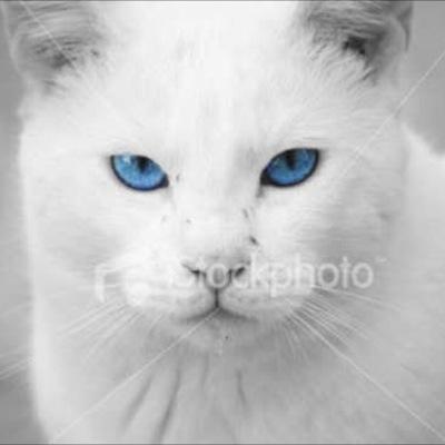 Account no longer actice due to a virus.