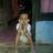 WendraHamid's profile image