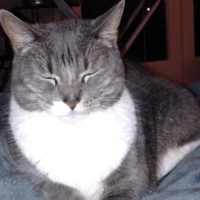 damks88's profile picture. enough said...