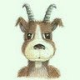 Dahu88's profile picture. Mastodon @dahu@piaille.fr