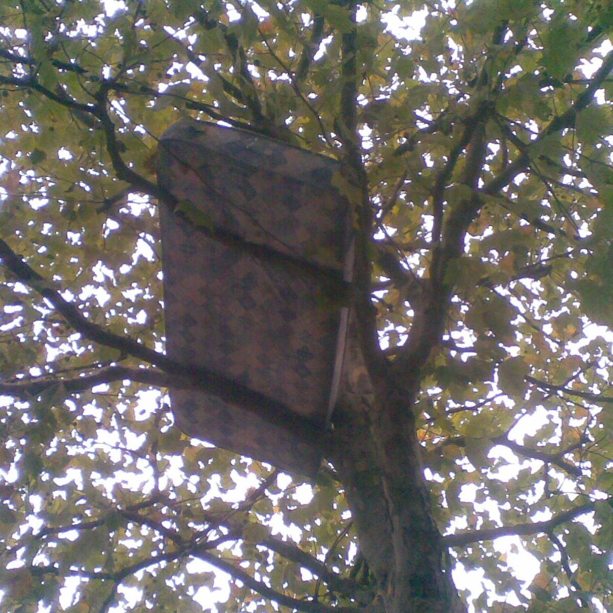 allyballance1's profile picture. 