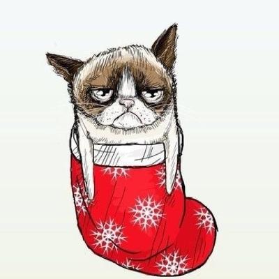 straubirific's profile picture. bee happy(⌒ᴗ⌒)ゞ