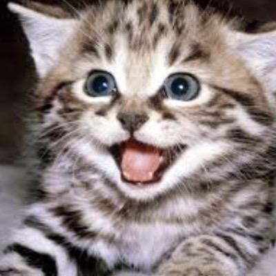 Follow for cute and funny cat pictures!
Alex and Ani contest ends 12/31!