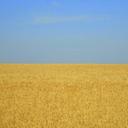 Vera Lynch - @verabipa - Twitter