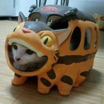 糞にゃんこ軍曹さんのプロフィール画像