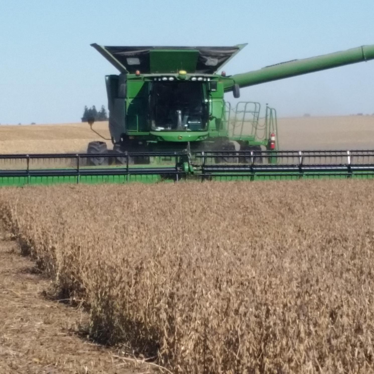 JohnSwissBell's profile picture. Farming corn and soybeans in central Illinois..
