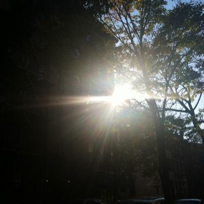 ColdInHaven's profile picture. 